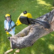 Lawn Pest Prevention in Garden Acres, CA