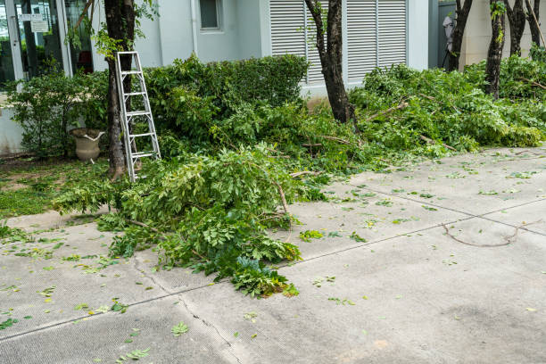 Seasonal Cleanup in Garden Acres, CA